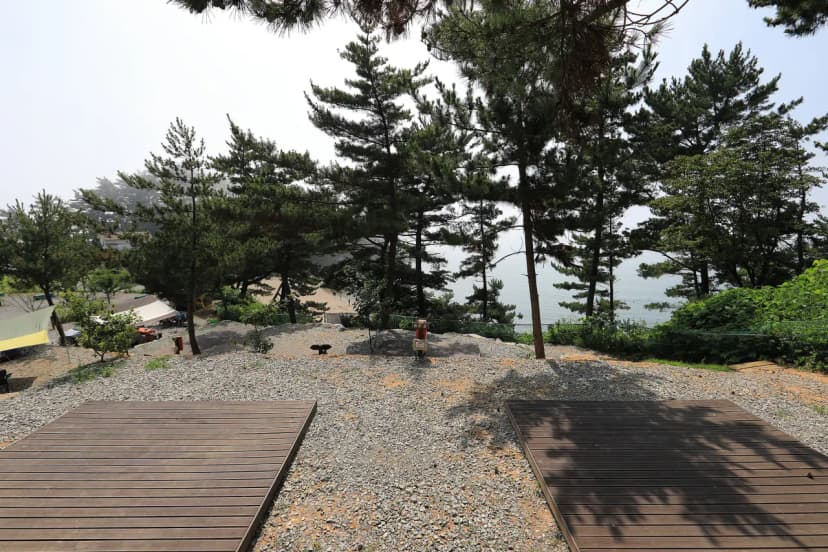 SE클럽(태안둘레길캠핑장&펜션) 사진 5