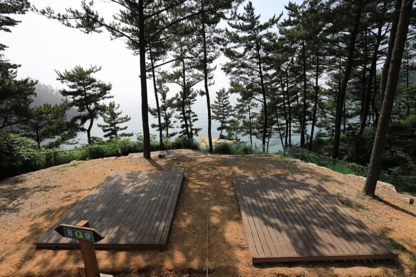 SE클럽(태안둘레길캠핑장&펜션) 사진 6
