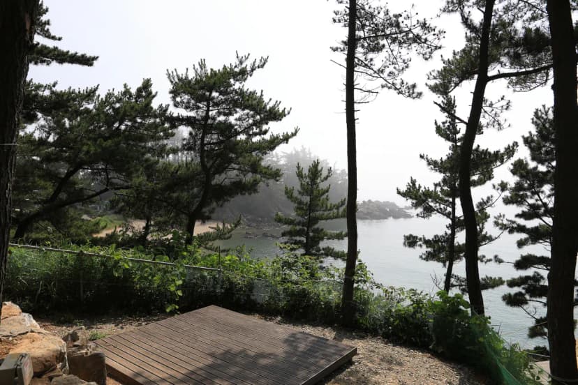 SE클럽(태안둘레길캠핑장&펜션) 사진 7