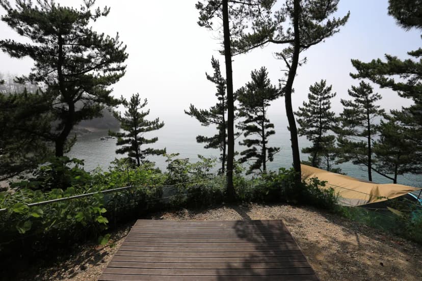 SE클럽(태안둘레길캠핑장&펜션) 사진 8