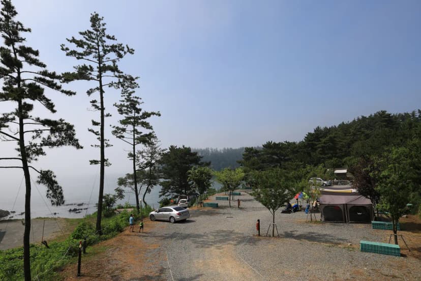 SE클럽(태안둘레길캠핑장&펜션) 사진 9
