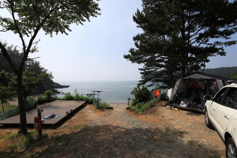SE클럽(태안둘레길캠핑장&펜션) 사진 11