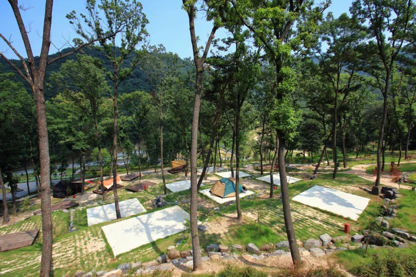공주산림휴양마을 사진 16