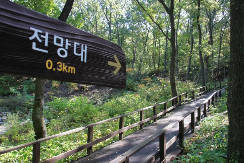 토함산자연휴양림 사진 21