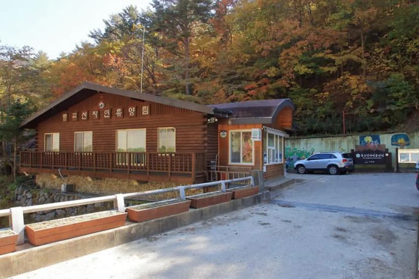 통고산 자연휴양림야영장 사진 3