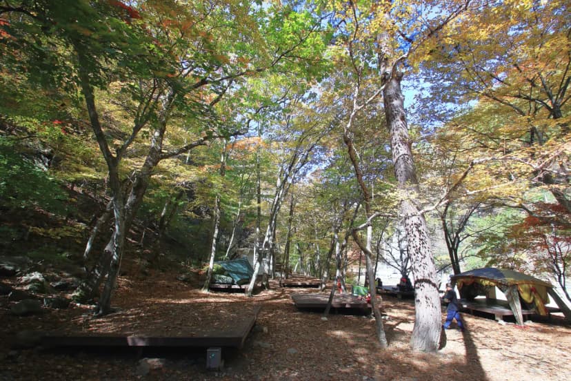 통고산 자연휴양림야영장 사진 6