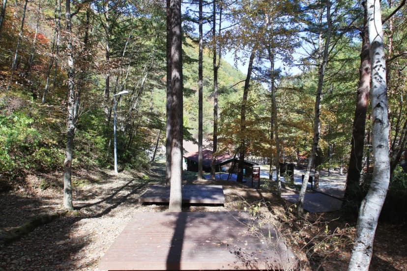 통고산 자연휴양림야영장 사진 8