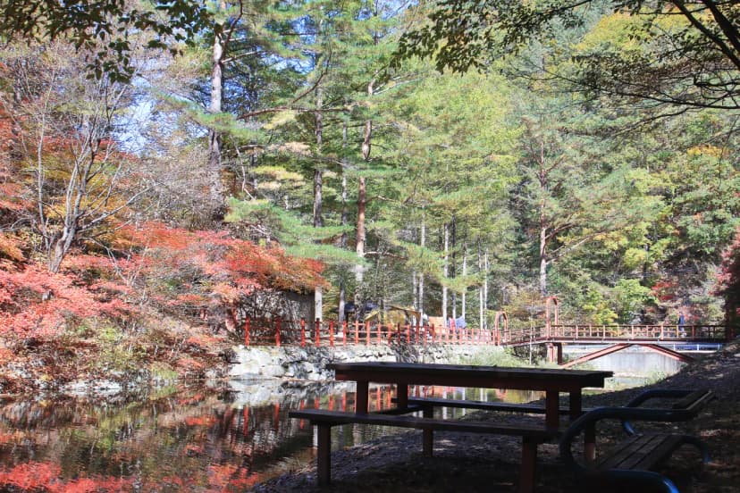 통고산 자연휴양림야영장 사진 19