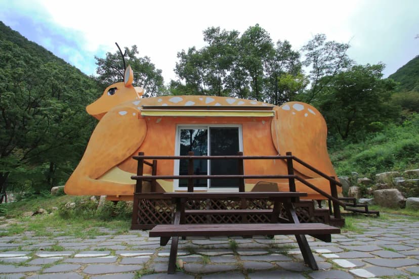 팔공산금화자연휴양림 사진 4