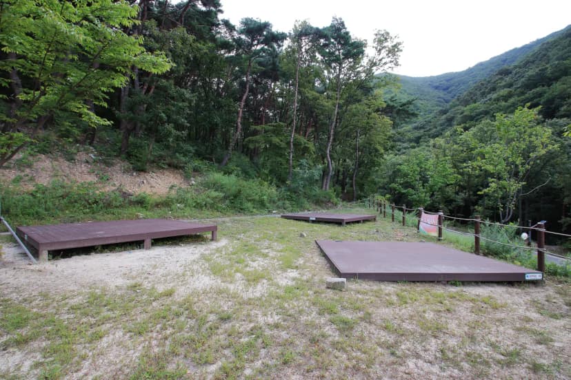 팔공산금화자연휴양림 사진 13