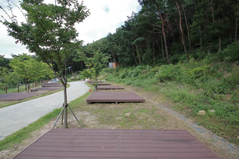 팔공산금화자연휴양림 사진 15