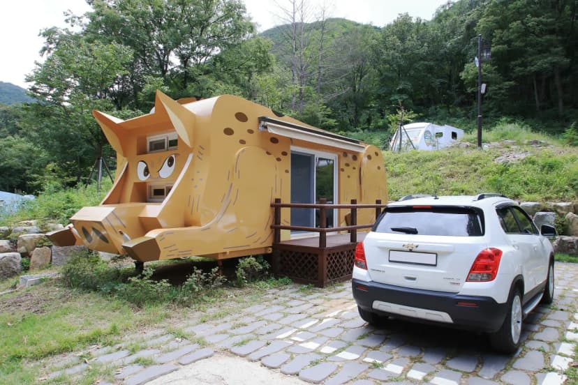 팔공산금화자연휴양림 사진 21