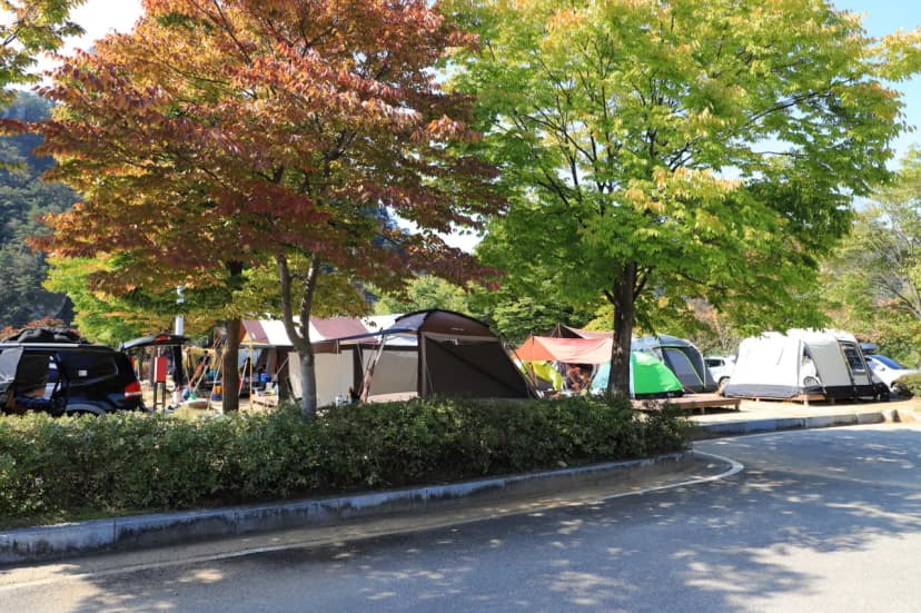 팔봉산관광지 야영장 사진 5