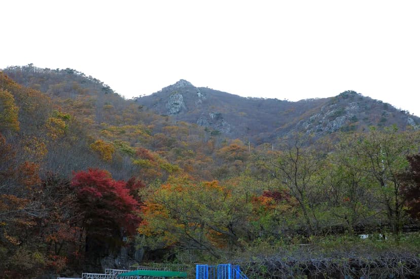 팔영산 자연휴양림 야영장 사진 12