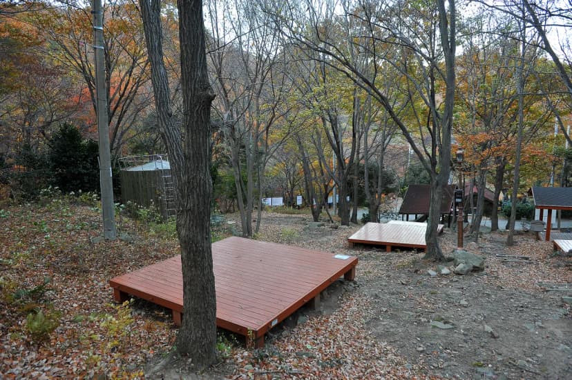 팔영산 자연휴양림 야영장 사진 17