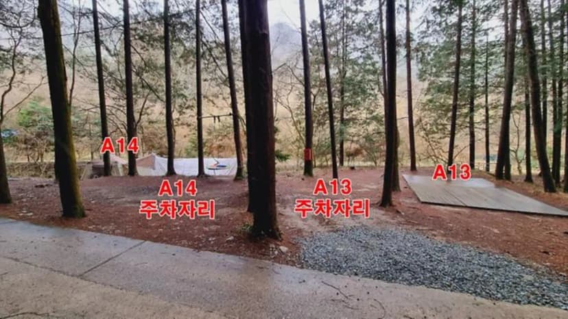 편백힐(치유의숲) 사진 2