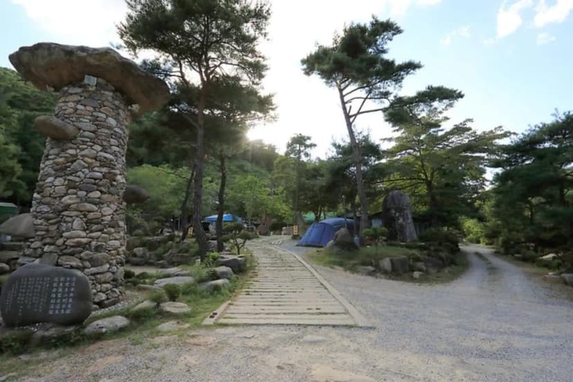 드래곤오토캠핑장 사진 3