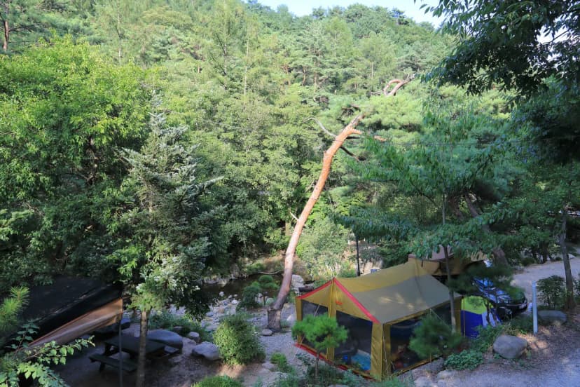 드래곤오토캠핑장 사진 16
