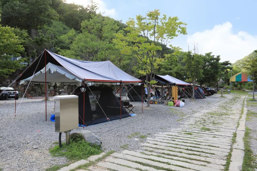 드래곤오토캠핑장 사진 17