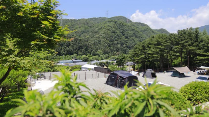 포레스트 소울 사진 7