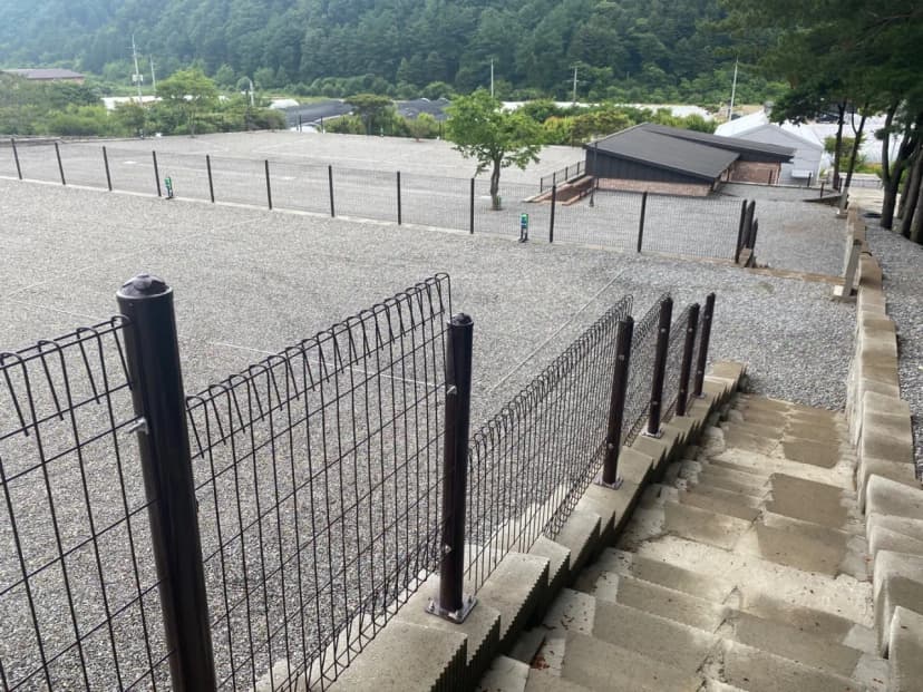 포레스트 소울 사진 9