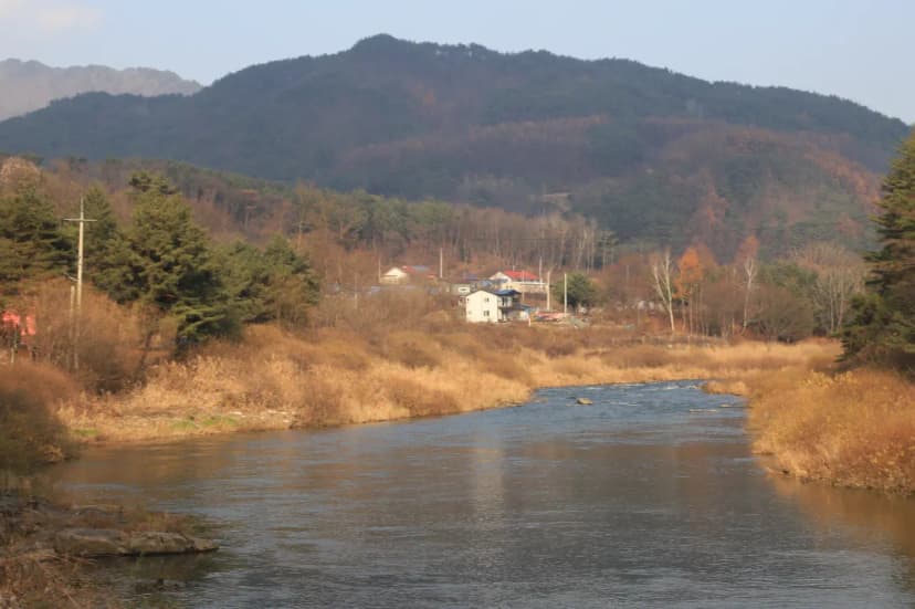포시즌파크 사진 4