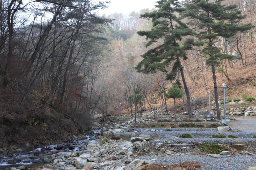 포시즌파크 사진 5