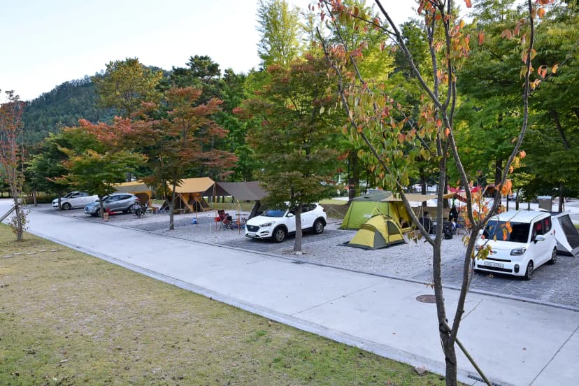 포천 비둘기낭 캠핑장 사진 17