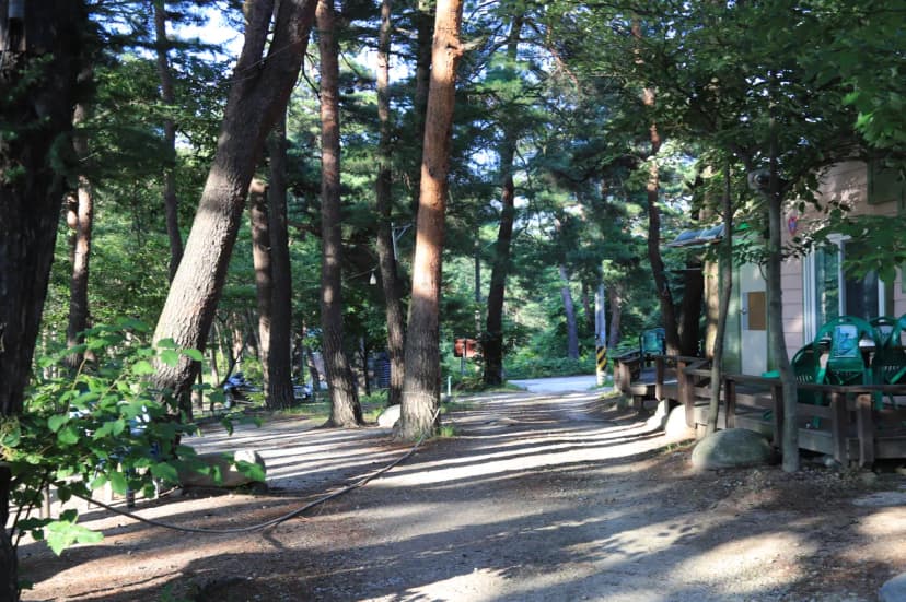폭포골자연휴양림야영장 사진 5