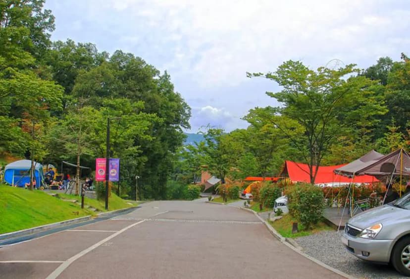 광명도덕산캠핑장 사진 2