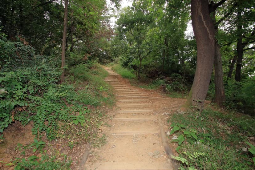 광명도덕산캠핑장 사진 8