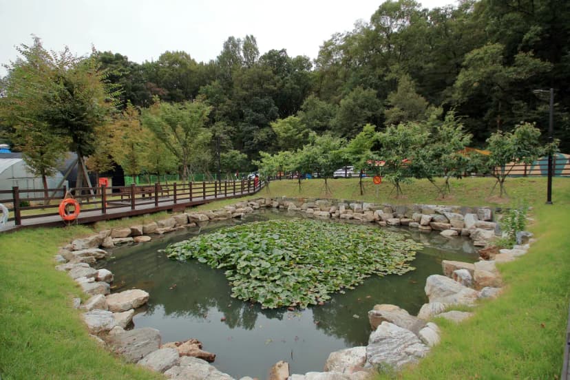 광명도덕산캠핑장 사진 14