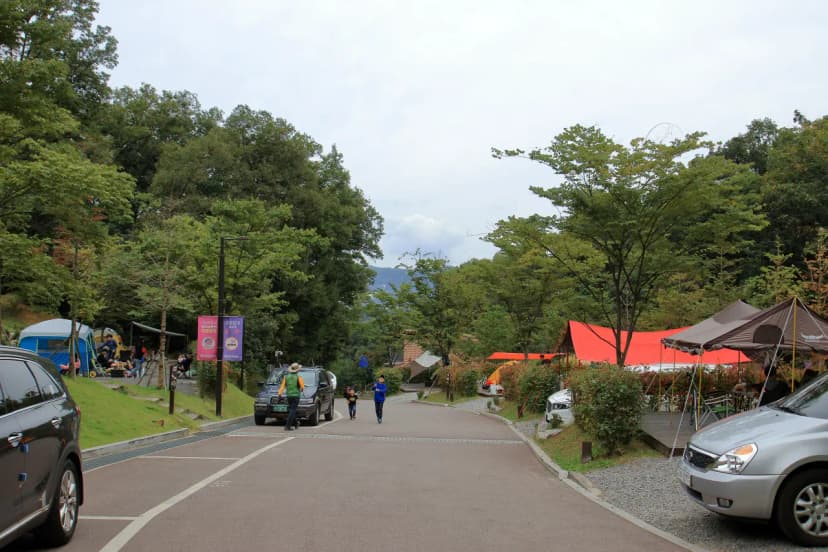 광명도덕산캠핑장 사진 15