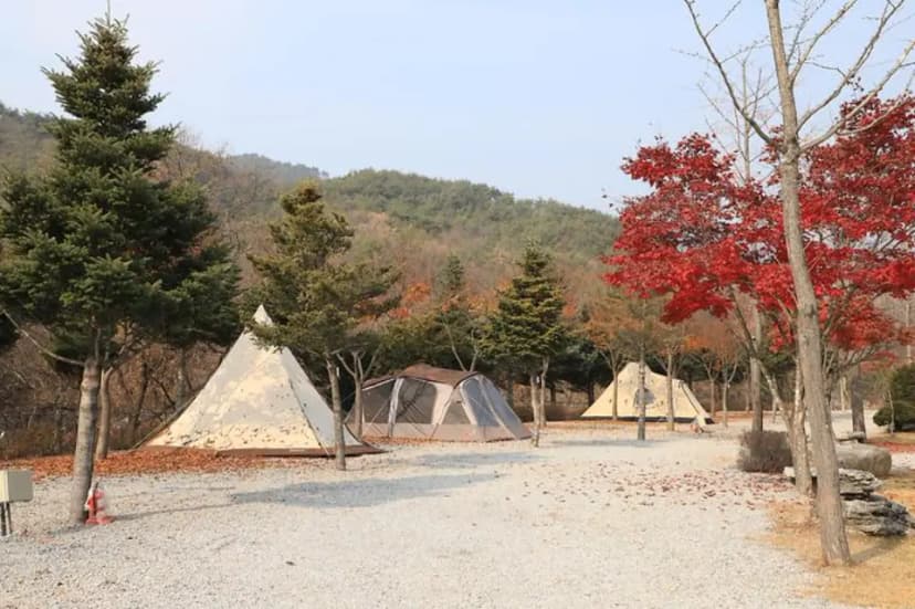 프라임캠핑장