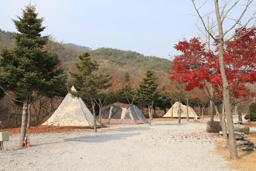 프라임캠핑장 사진 3