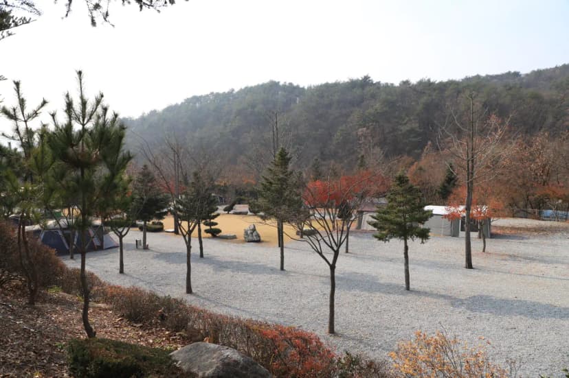 프라임캠핑장 사진 4