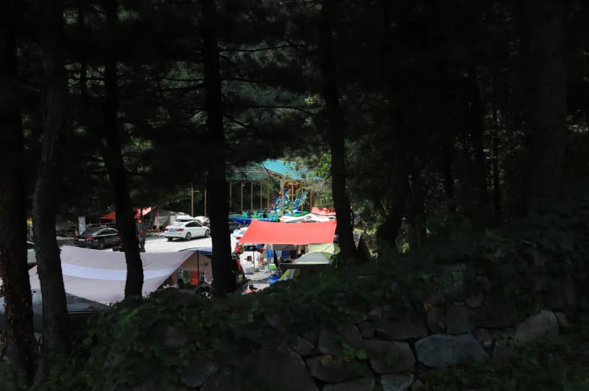 피노키오 자연휴양림 야영장 사진 15