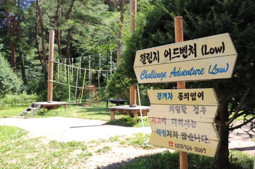 피노키오 자연휴양림 야영장 사진 17