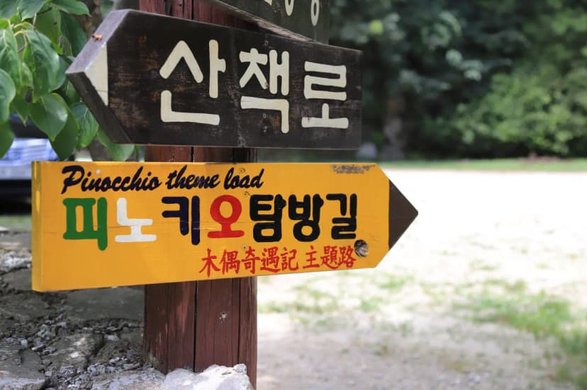 피노키오 자연휴양림 야영장 사진 18