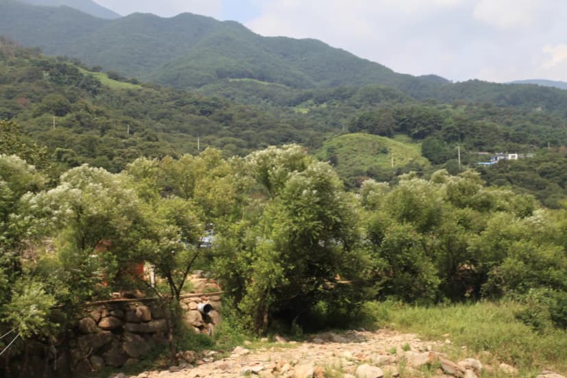 피아골오토캠핑장 사진 5