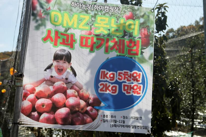하마캠핑장 사진 10