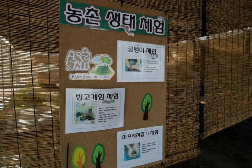 하마캠핑장 사진 13