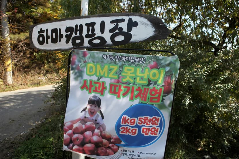 하마캠핑장 사진 15