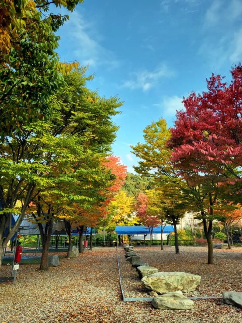 하오재캠핑장 사진 4