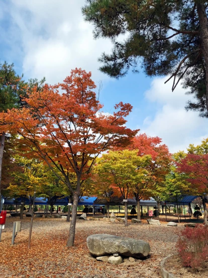 하오재캠핑장 사진 7