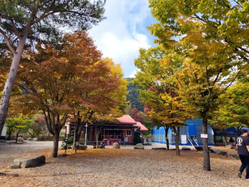 하오재캠핑장 사진 8
