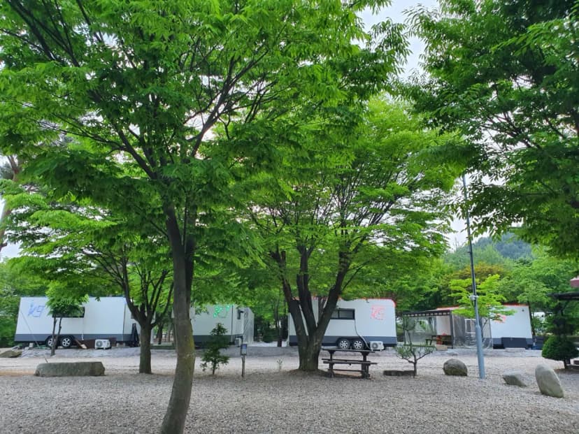하오재캠핑장 사진 10