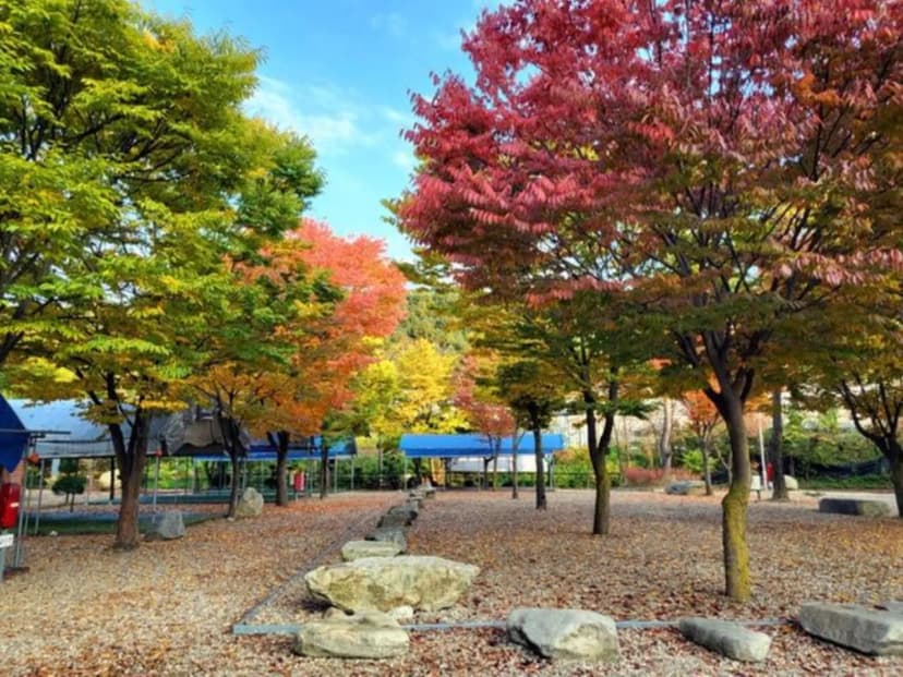하오재캠핑장 사진 13