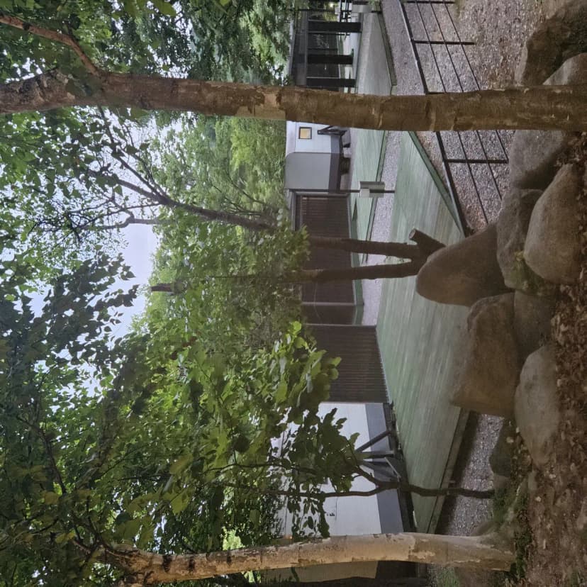 하오재캠핑장 사진 18