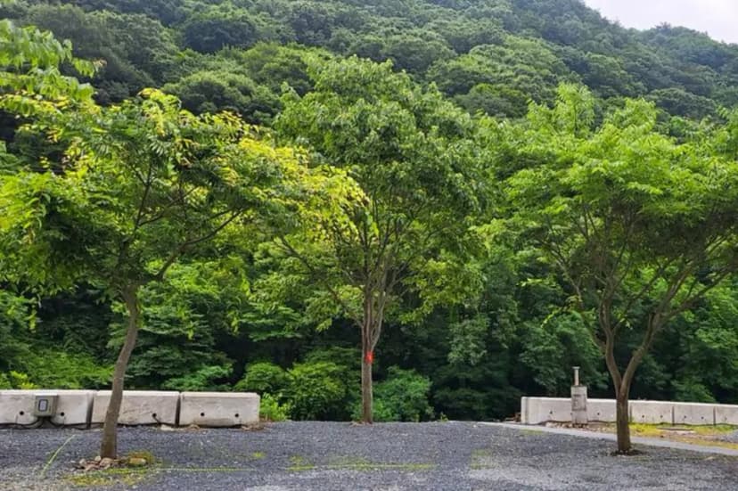 하옥 가람캠핑장
